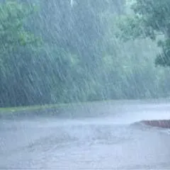 Mk photo on Jungo Live