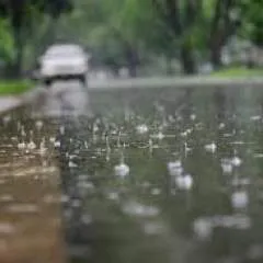 Mk photo on Jungo Live