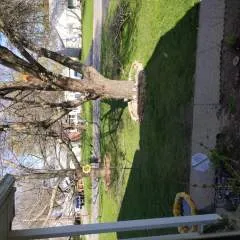 Gandrea photo on Jungo Live