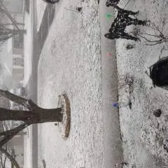 Gandrea photo on Jungo Live