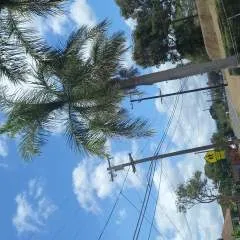 67serio photo on Jungo Live