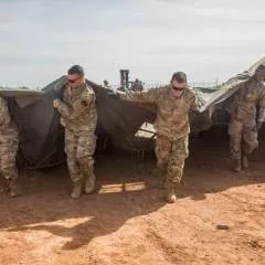 Thompson photo on Jungo Live