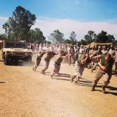 Thompson photo on Jungo Live