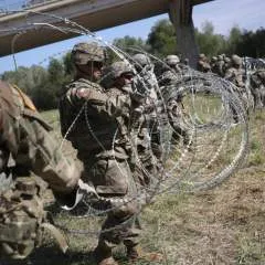 Thompson photo on Jungo Live