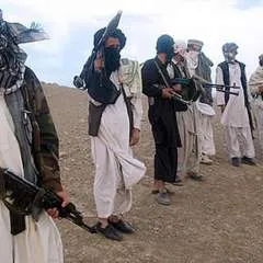 Thompson photo on Jungo Live