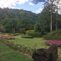 Andy photo on Jungo Live