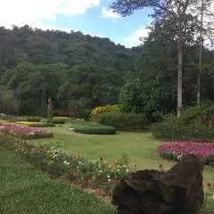 Andy photo on Jungo Live