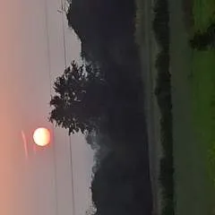 Hamid photo on Jungo Live