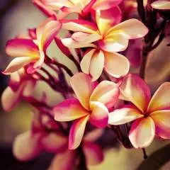 Jussie💗 photo on Jungo Live