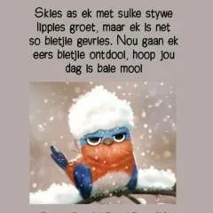 Danie40 photo on Jungo Live