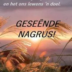 Danie40 photo on Jungo Live