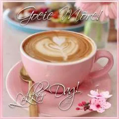 Danie40 photo on Jungo Live