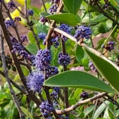 Neelkamal photo on Jungo Live