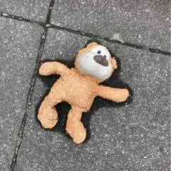 Andy photo on Jungo Live