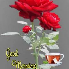 Shree photo on Jungo Live