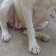 Warlordme photo on Jungo Live