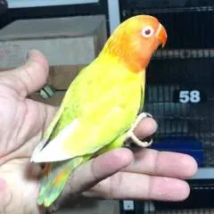 Bobby photo on Jungo Live