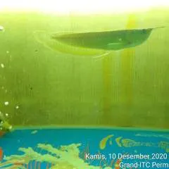 Genx_diana photo on Jungo Live