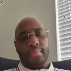 Bee photo on Jungo Live