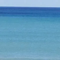 Stephen photo on Jungo Live