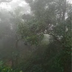 Abin........ photo on Jungo Live