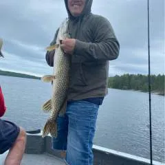 Playfulspank photo on Jungo Live