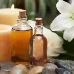 Carin Tate photo on Jungo Live