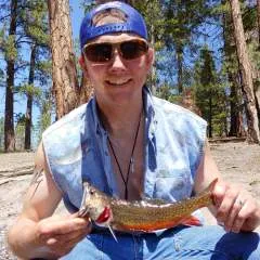 Mrright photo on Jungo Live