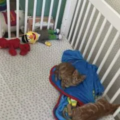 Better World photo on Jungo Live