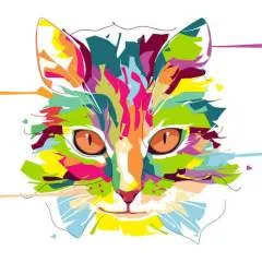 Raj photo on Jungo Live