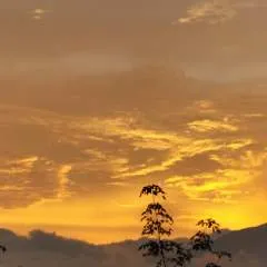 Love photo on Jungo Live