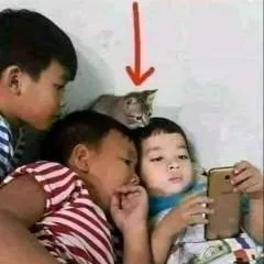 Mostapha Mayouf photo on Jungo Live