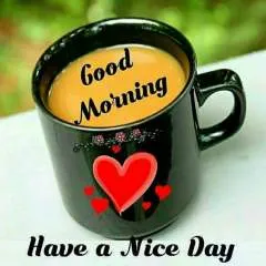 Raj Singh photo on Jungo Live