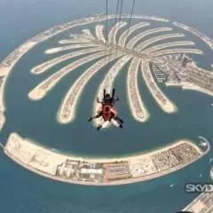 Arnold 34 photo on Jungo Live