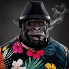 Amoy photo on Jungo Live