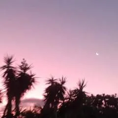 Keurã photo on Jungo Live