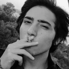 Hermesbird photo on Jungo Live