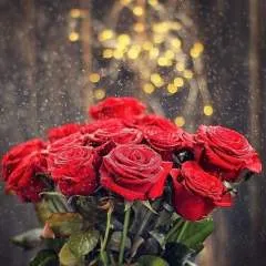 Nil photo on Jungo Live