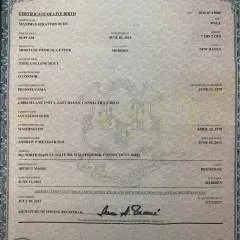 Travelnuts photo on Jungo Live