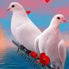 Subhan Khan photo on Jungo Live