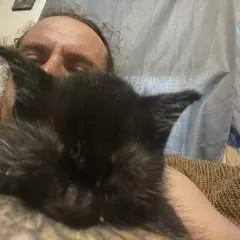 Txswitch........ photo on Jungo Live