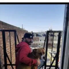 Ace photo on Jungo Live