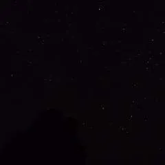 Hulky photo on Jungo Live