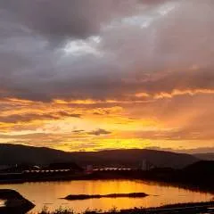 Haywire photo on Jungo Live