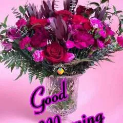 Ayush Singh photo on Jungo Live