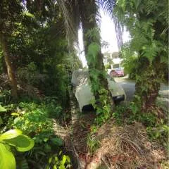 Cc photo on Jungo Live