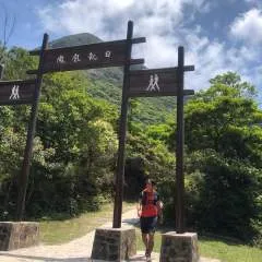 Tatsu photo on Jungo Live