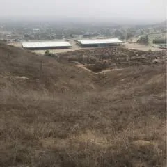 Tonyg.... photo on Jungo Live