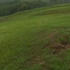 Jig photo on Jungo Live