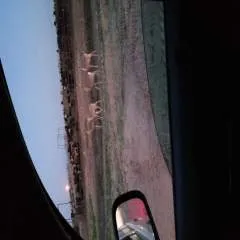 Caliente 69 photo on Jungo Live